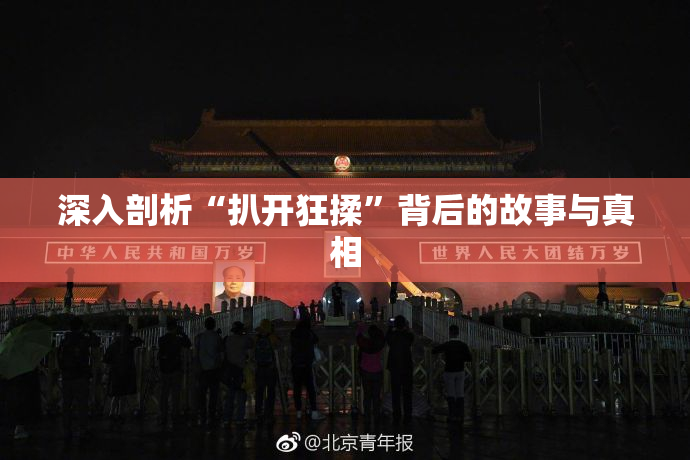 深入剖析“扒开狂揉”背后的故事与真相
