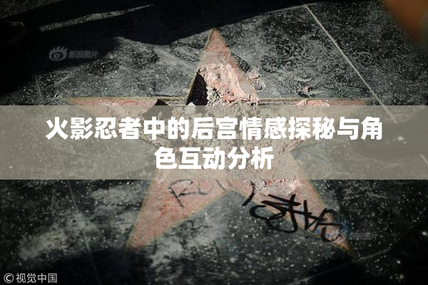 火影忍者中的后宫情感探秘与角色互动分析