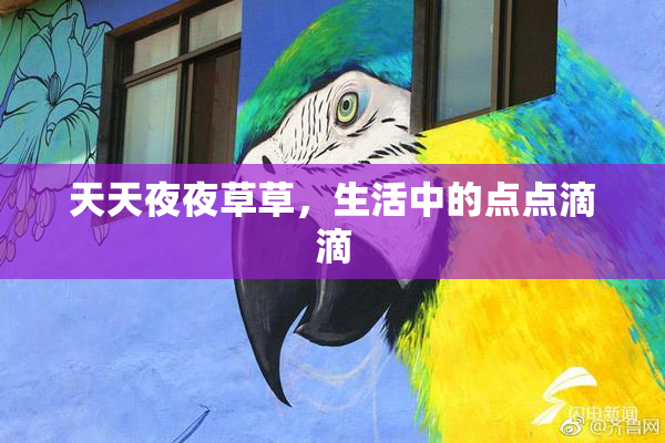 天天夜夜草草，生活中的点点滴滴