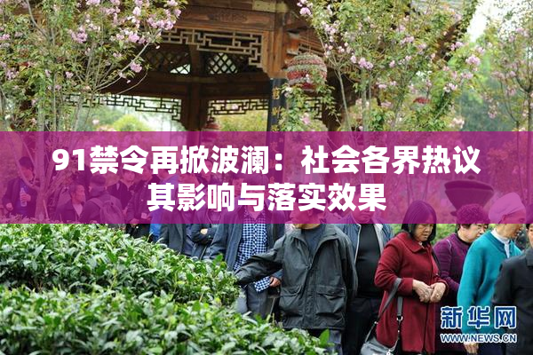 91禁令再掀波澜：社会各界热议其影响与落实效果