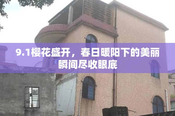 9.1樱花盛开，春日暖阳下的美丽瞬间尽收眼底