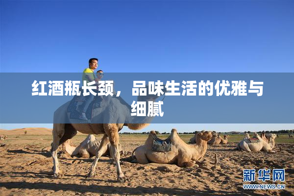 红酒瓶长颈，品味生活的优雅与细腻