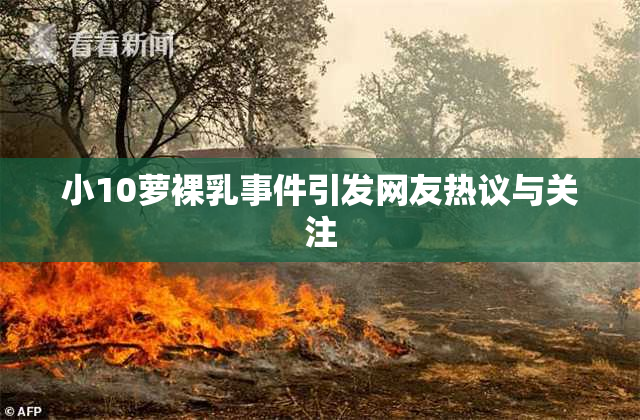 小10萝裸乳事件引发网友热议与关注