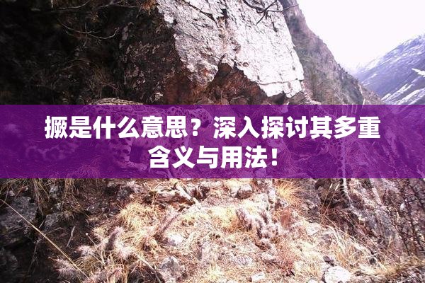 撅是什么意思？深入探讨其多重含义与用法！