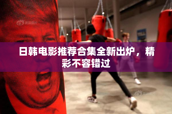 日韩电影推荐合集全新出炉，精彩不容错过