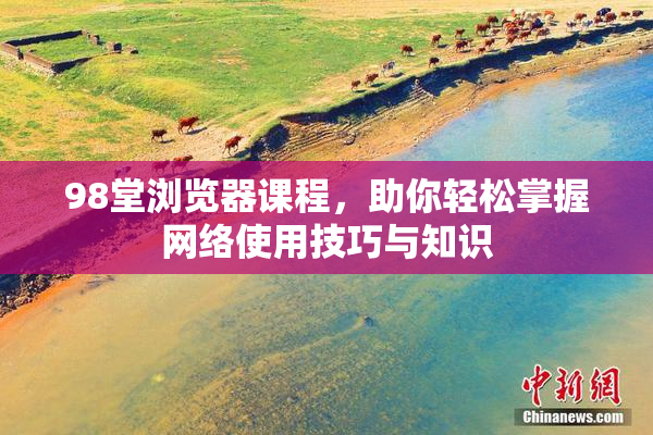 98堂浏览器课程，助你轻松掌握网络使用技巧与知识