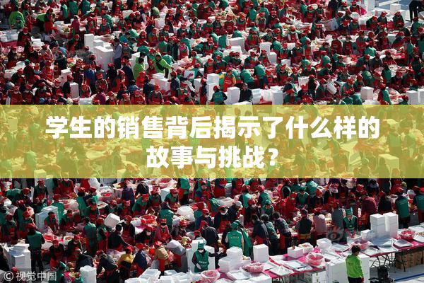 学生的销售背后揭示了什么样的故事与挑战？