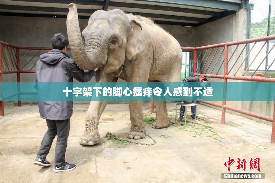 十字架下的脚心瘙痒令人感到不适
