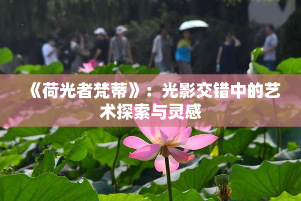 《荷光者梵蒂》：光影交错中的艺术探索与灵感