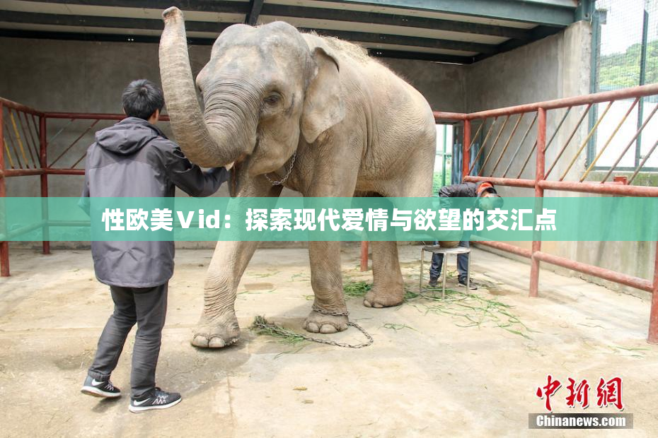 性欧美Ⅴid：探索现代爱情与欲望的交汇点