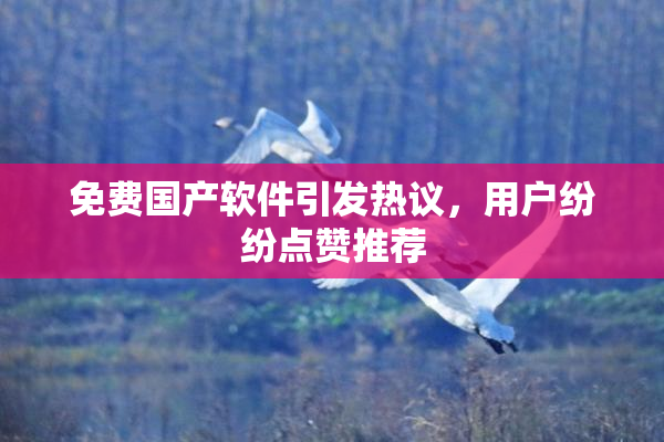 免费国产软件引发热议，用户纷纷点赞推荐
