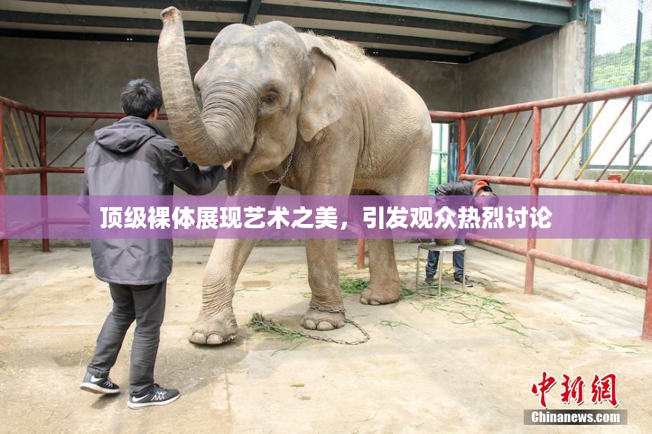 顶级裸体展现艺术之美，引发观众热烈讨论