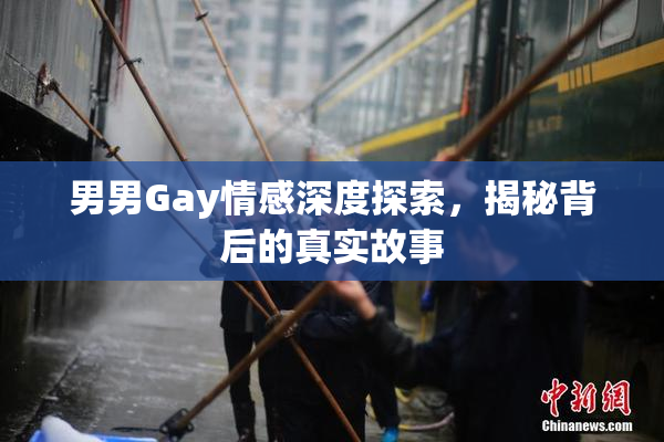 男男Gay情感深度探索，揭秘背后的真实故事