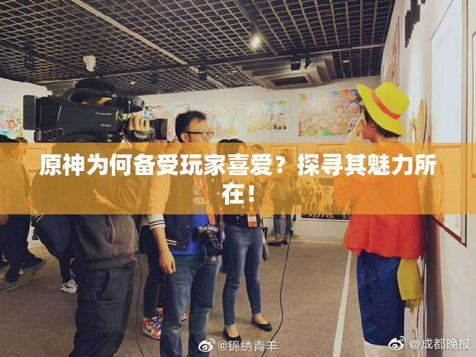 原神为何备受玩家喜爱？探寻其魅力所在！