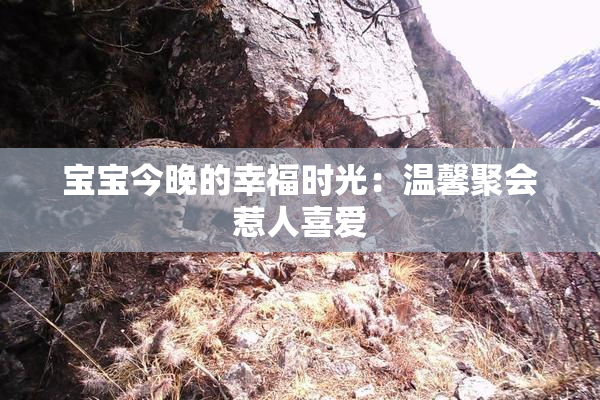 宝宝今晚的幸福时光：温馨聚会惹人喜爱