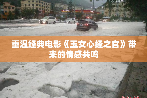 重温经典电影《玉女心经之官》带来的情感共鸣