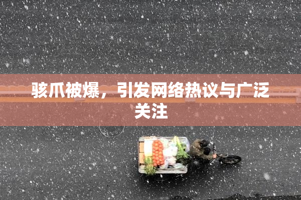 骇爪被爆，引发网络热议与广泛关注