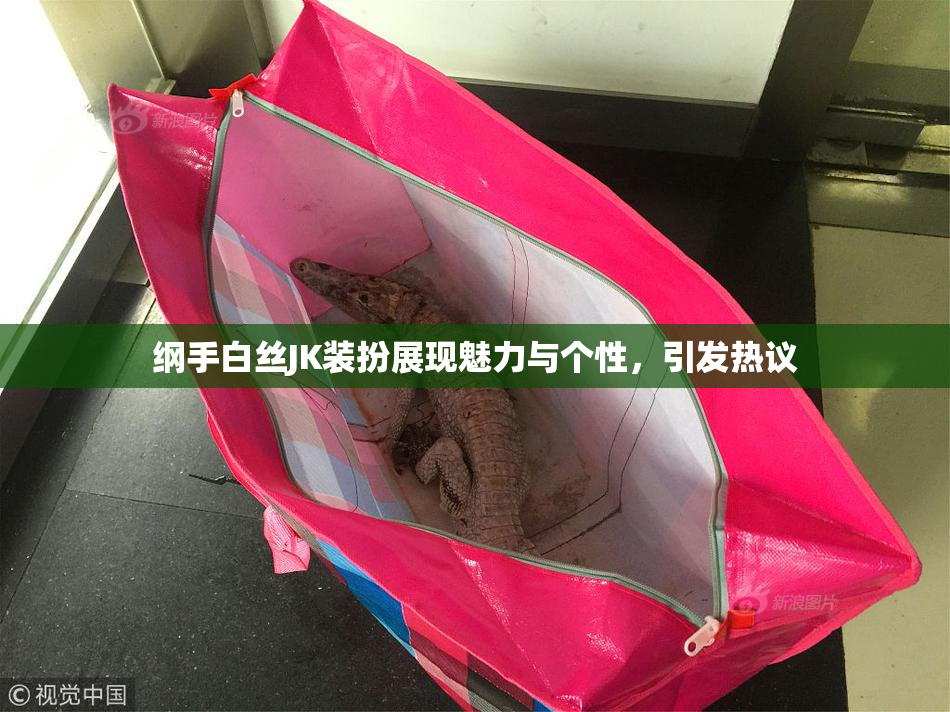 纲手白丝JK装扮展现魅力与个性，引发热议