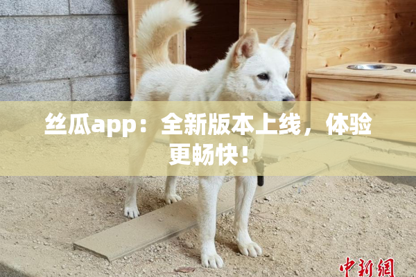 丝瓜app：全新版本上线，体验更畅快！