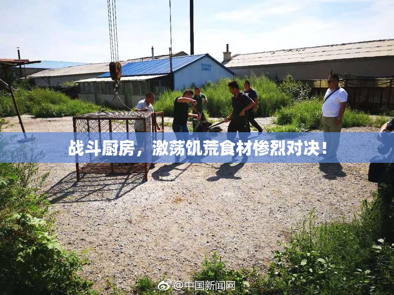 战斗厨房，激荡饥荒食材惨烈对决！