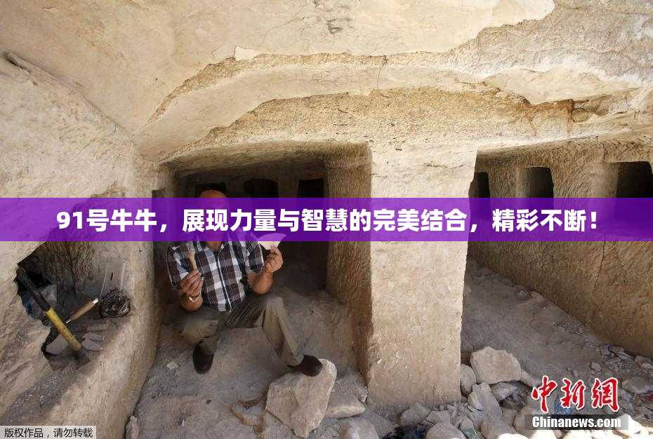 91号牛牛，展现力量与智慧的完美结合，精彩不断！