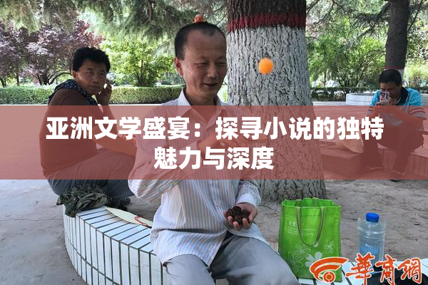 亚洲文学盛宴：探寻小说的独特魅力与深度