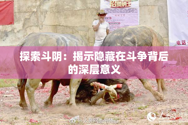 探索斗阴：揭示隐藏在斗争背后的深层意义