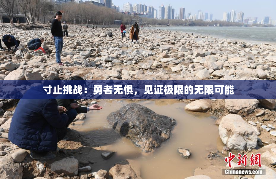 寸止挑战：勇者无惧，见证极限的无限可能