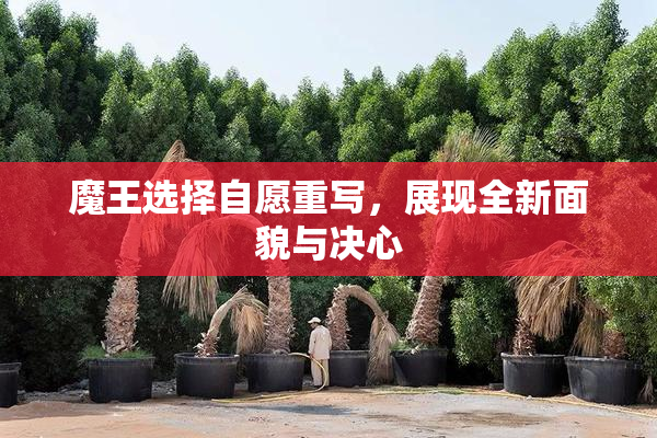 魔王选择自愿重写，展现全新面貌与决心