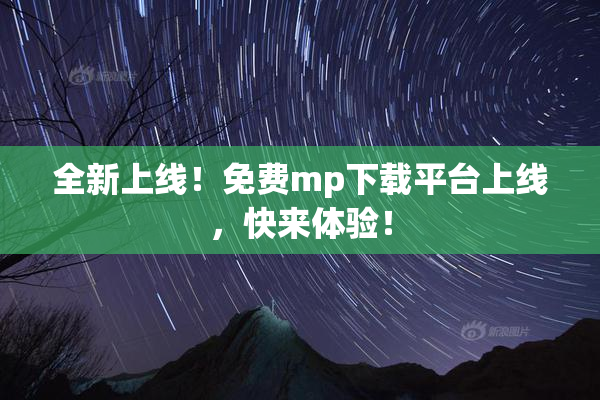 全新上线！免费mp下载平台上线，快来体验！