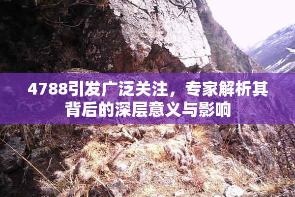 4788引发广泛关注，专家解析其背后的深层意义与影响