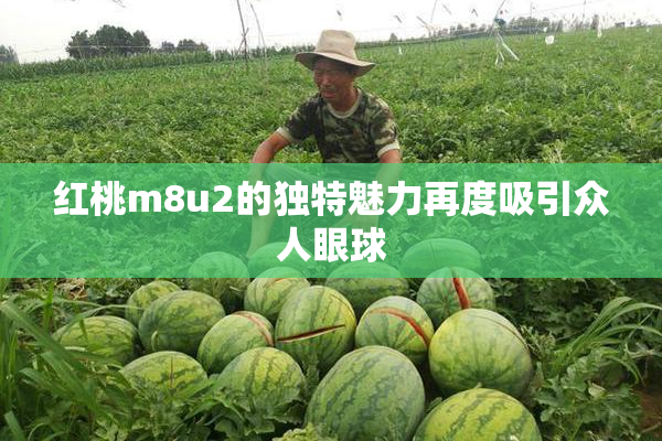 红桃m8u2的独特魅力再度吸引众人眼球