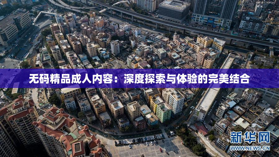 无码精品成人内容：深度探索与体验的完美结合