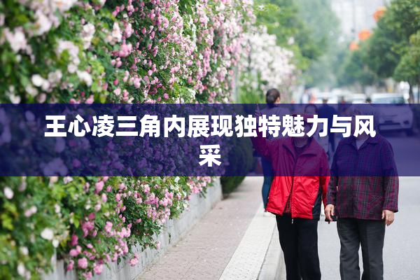 王心凌三角内展现独特魅力与风采