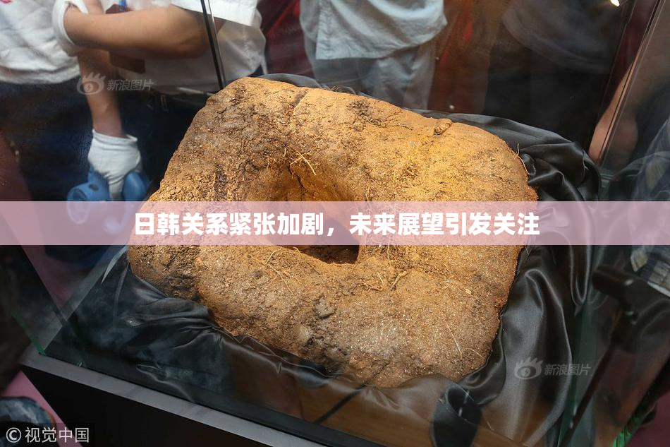 日韩关系紧张加剧，未来展望引发关注