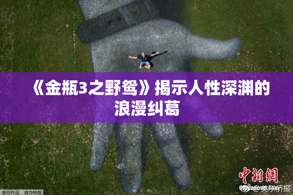 《金瓶3之野鸳》揭示人性深渊的浪漫纠葛