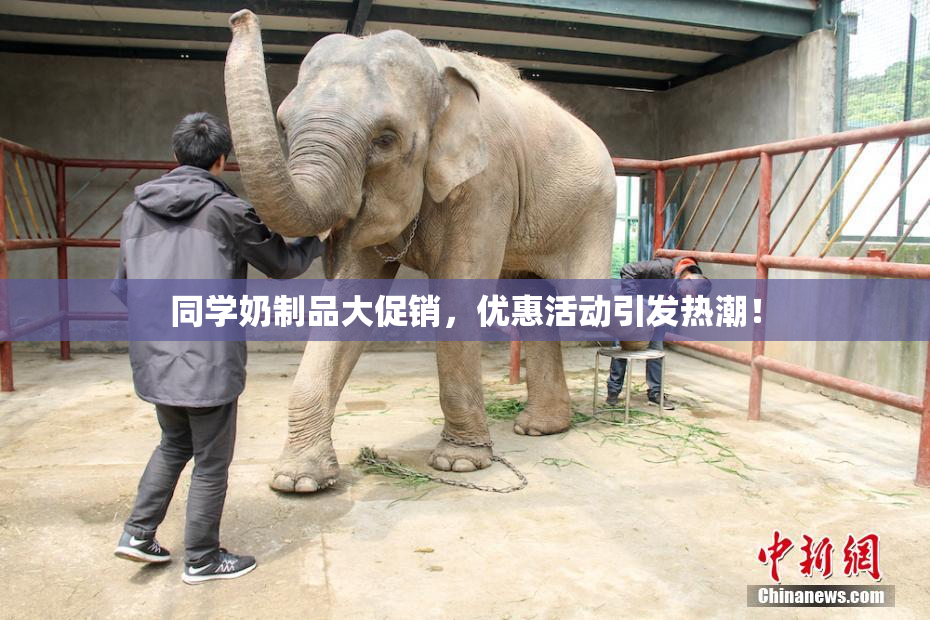 同学奶制品大促销，优惠活动引发热潮！