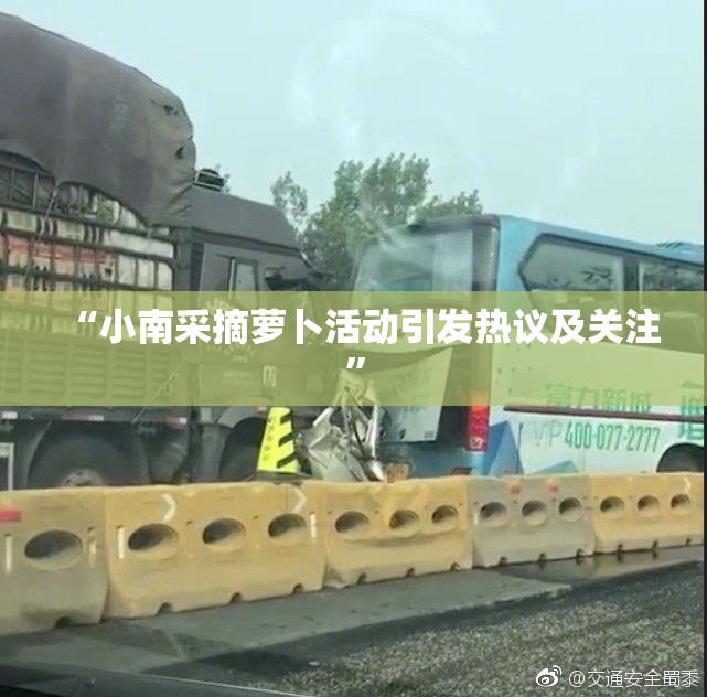 “小南采摘萝卜活动引发热议及关注”