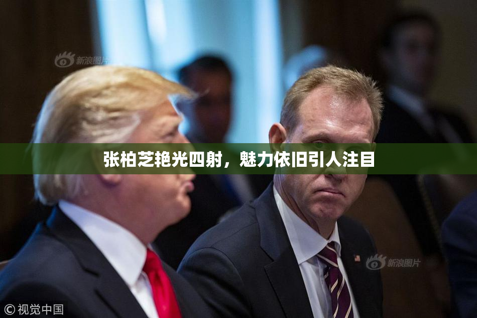 张柏芝艳光四射，魅力依旧引人注目