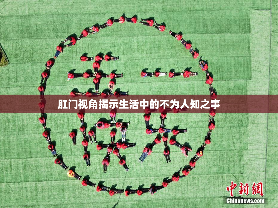 肛门视角揭示生活中的不为人知之事
