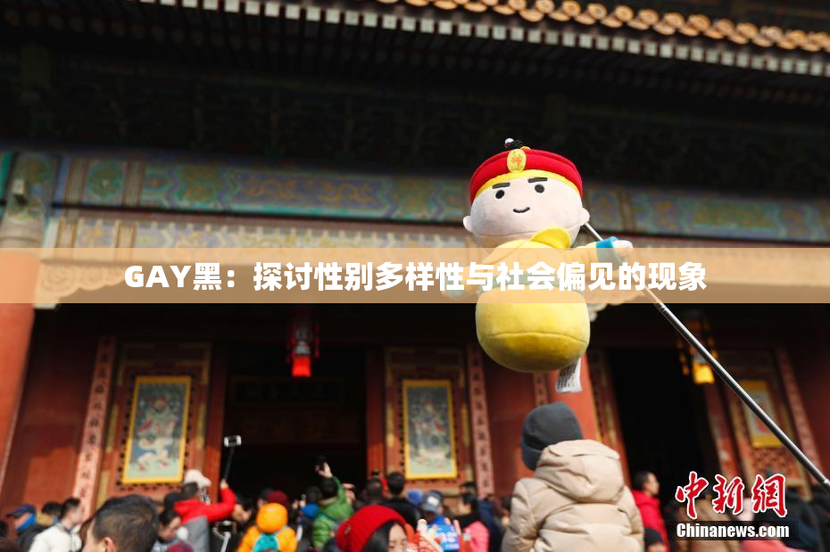 GAY黑：探讨性别多样性与社会偏见的现象