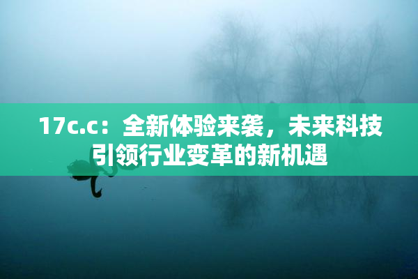 17c.c：全新体验来袭，未来科技引领行业变革的新机遇