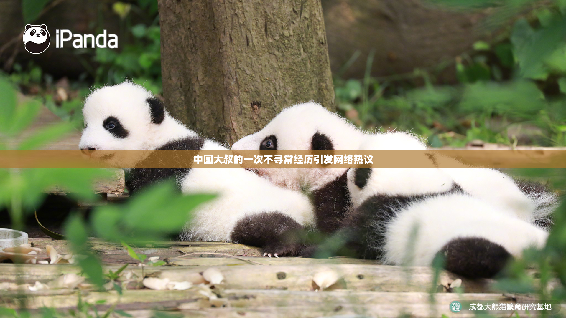 中国大叔的一次不寻常经历引发网络热议