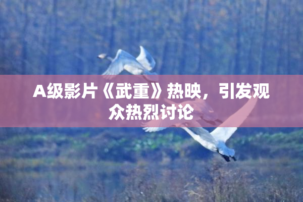 A级影片《武重》热映，引发观众热烈讨论