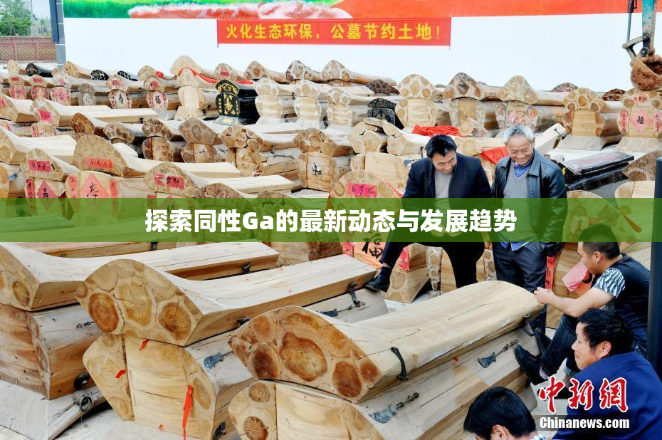 探索同性Ga的最新动态与发展趋势