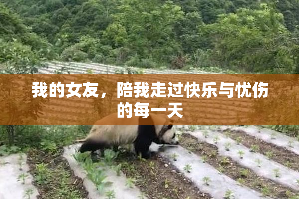 我的女友，陪我走过快乐与忧伤的每一天