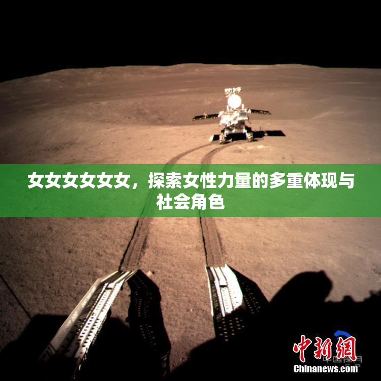 女女女女女女，探索女性力量的多重体现与社会角色