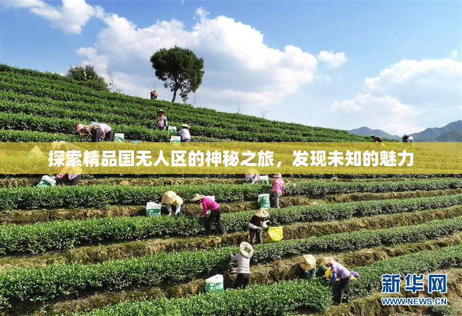 探索精品国无人区的神秘之旅，发现未知的魅力