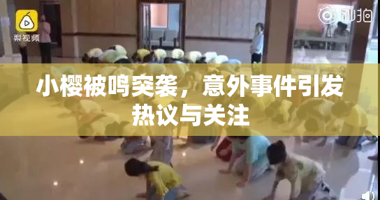 小樱被鸣突袭，意外事件引发热议与关注