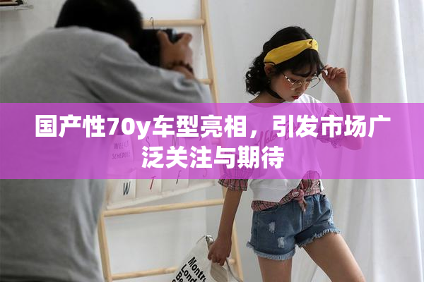 国产性70y车型亮相，引发市场广泛关注与期待